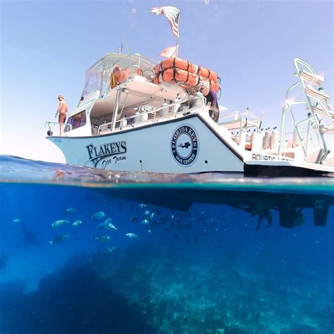 FLORIDA KEYS DIVE CENTER Guide (2026) All You Need to Know BEFORE You ...