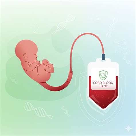 Stem Cell Preservation Cost in India: Everything You Need to Know