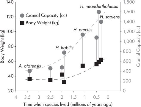 Human Backbone Evolution Chart 的图像结果