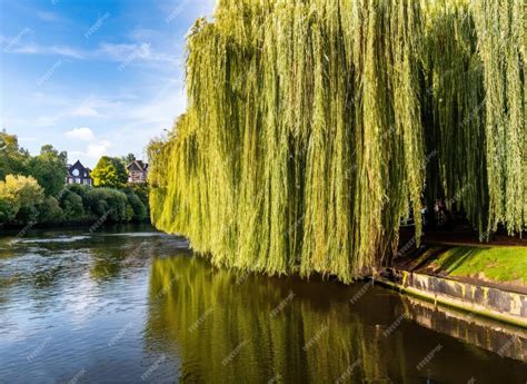 Lake 的图像结果