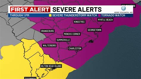 Charleston could lose almost 40 acres of wetlands to I-526 extension