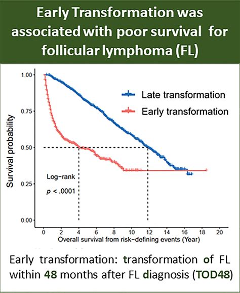 What Is The Survival Rate Of Follicular Lymphoma It Factors To Consider
