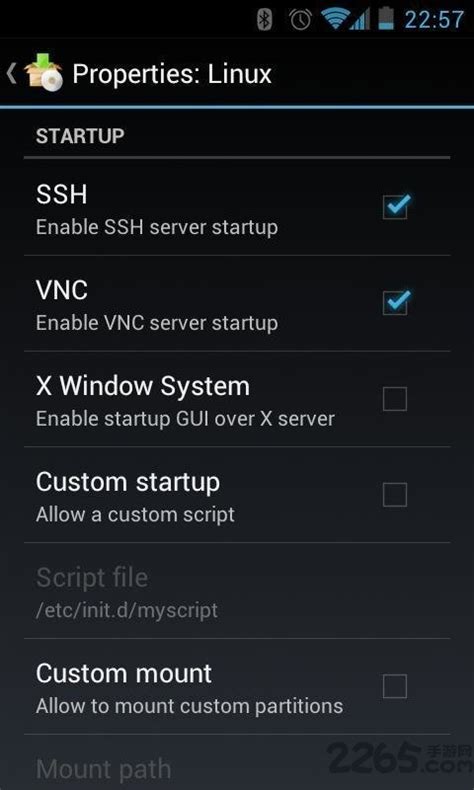 LinuxDeploy Android 的图像结果