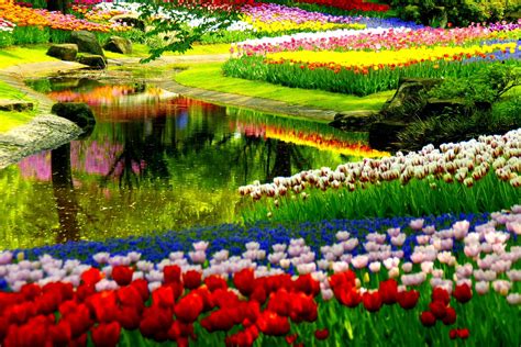 Image result for High Def Spring Backgrounds