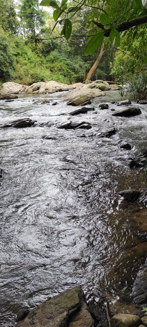 JETWING KADURUKETHA (Kotikambokka) - Hotel Reviews, Photos, Rate ...