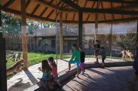 ZooLex Image - Covered viewing structure