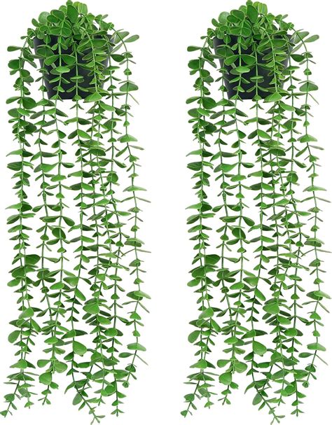 Sggvecsy 2 Pack Artificial Hanging Eucalyptus Plants for Home India | Ubuy