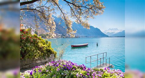 Swiss beaches that are ideal for a getaway | Times of India Travel