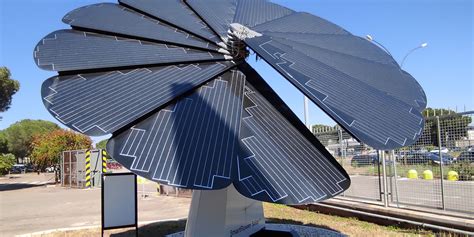 Solar Flower 的图像结果