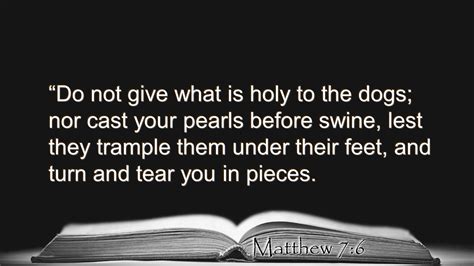 Matthew 7 6 Meaning