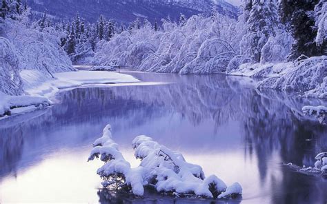 [1000+] Winter Wallpapers | Wallpapers.com