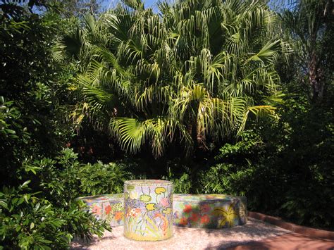 Palm Garden Of Pinellas Largo Fl | Fasci Garden