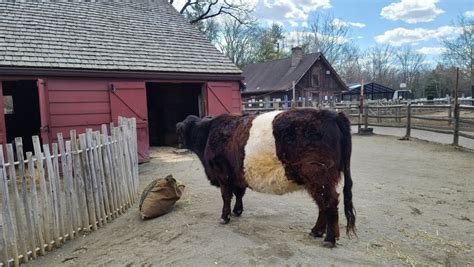 Bergen County Zoo, Paramus, NJ: Information, Tickets and Reviews