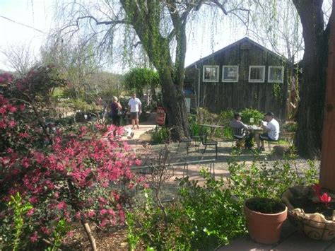 THE FLOWER FARM CAFE, Loomis - Menu, Prices & Restaurant Reviews ...