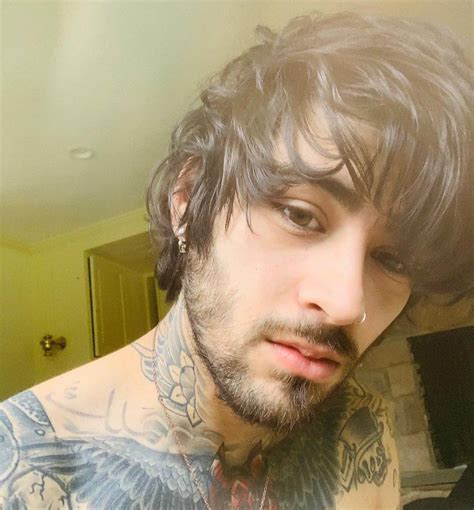 Zayn Malik | Compare la altura, peso, parámetros del cuerpo con otras celebridades - Stellameus