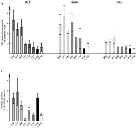 Genomic and Phenotypic Characteristics in Geographically Separated ...