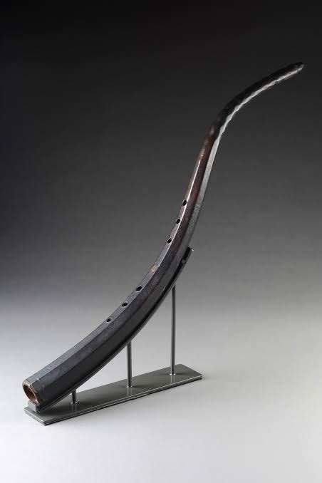 Image result for Rare Musical Instruments
