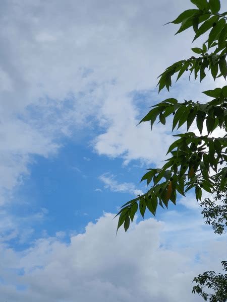 Image result for Abd Script GUI