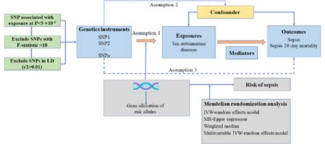 Image result for Introduction to Mendelian Randomization