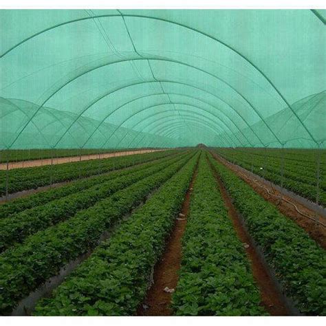 Safety Net - Agro Shed Net Manufacturer from Kolhapur