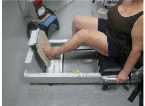 How to Muscle Test Lumbar Extensor Muscles 的图像结果