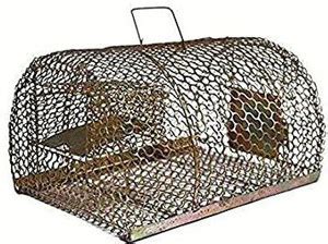 Goods collection LIVE IRON RAT TRAP BIG SIZE A10 Live Trap Price in ...