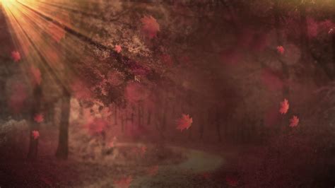 Image result for Fall Background Motion Loop