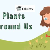 PPT: Plants Around Us - EVS for Class 2 PDF Download
