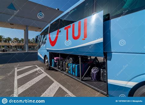 Image result for Tui Bus Liver Side View