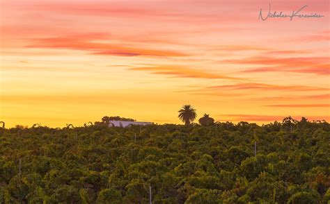 Clements Tourism (2023): Best of Clements, CA - Tripadvisor