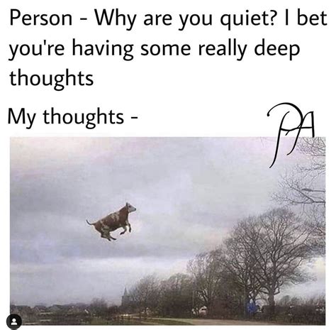 Socially Awkward Girl Meme