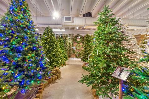 Direct Export 的图像结果