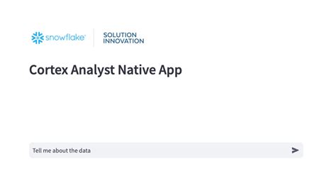 Image result for Snowflake Cortex Demo