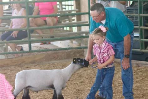 Open/4-H/FFA Lamb Show, 68 Fairgrounds Road, Falmouth, KY, United ...