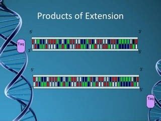 Techniques in genetic engineering | PPT