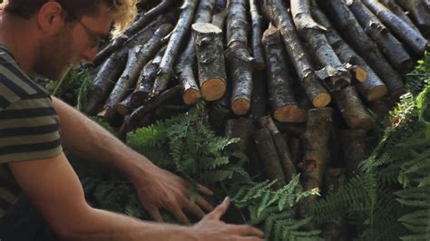 Charcoal Making Process 的图像结果