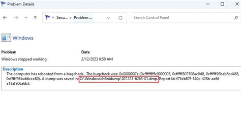 Reliability Monitor 的图像结果