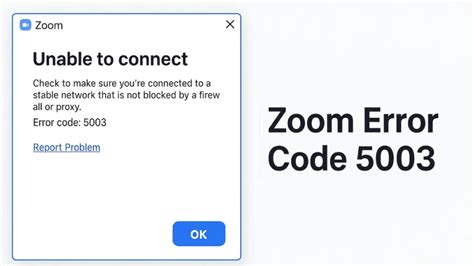 Image result for Zoom Error Code 10003