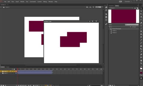 Image result for Multimedia Programming Flash