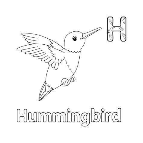 Premium Vector | Hummingbird Alphabet ABC Isolated Coloring Page H