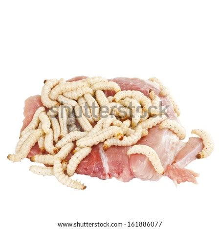 Image result for tapeworm in commercial red meat