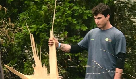 About Arborist Indianapolis | Tree Care Services Indianapolis