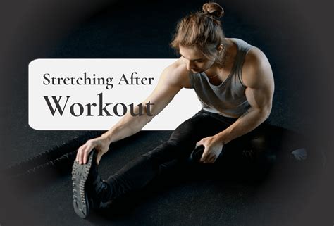 Stretching Work Out 的图像结果