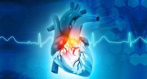 Best Cardiologist Doctor in fortis hospital Shalimar Bagh, Delhi NCR