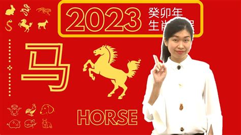 千里马遇见伯乐！【马】2023癸卯年十二生肖流年运程 2023 Water Rabbit Astrology Forecast [Horse]