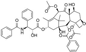PAD4 and Its Inhibitors in Cancer Progression and Prognosis