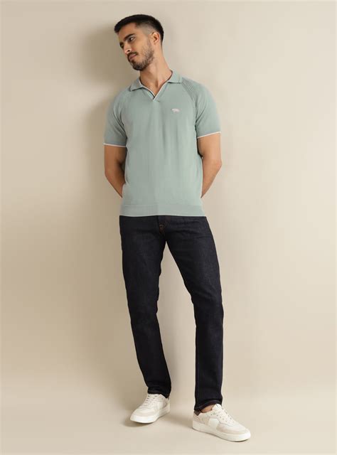 Buy Sage Mist Polo | Casual Green Solid Polos for Men Online | Andamen