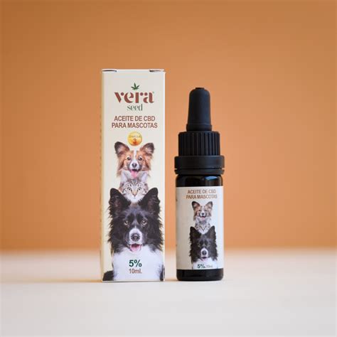 Cómo mejorar la salud y el bienestar de tu mascota con CBD y aceite ...