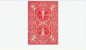 Image result for Flutter Stack Card