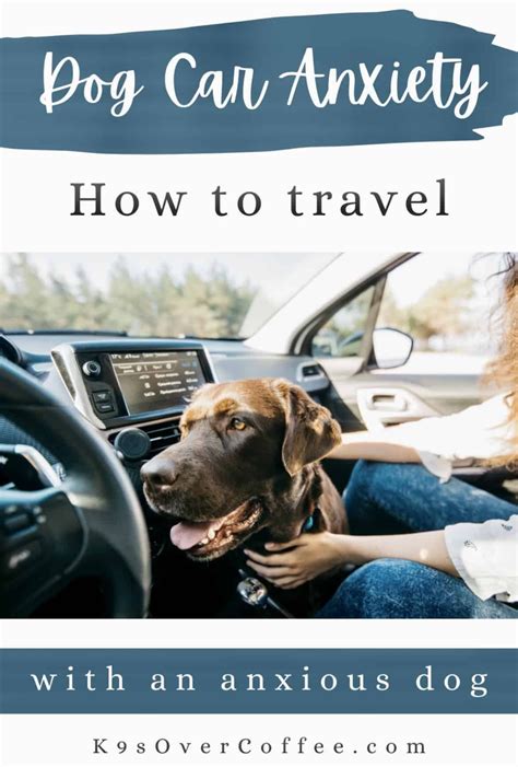 Dog car anxiety 5 easy ways you can solve it – Artofit
